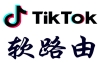 运营tiktok怎么搭建节点(tiktok搭建服务器)